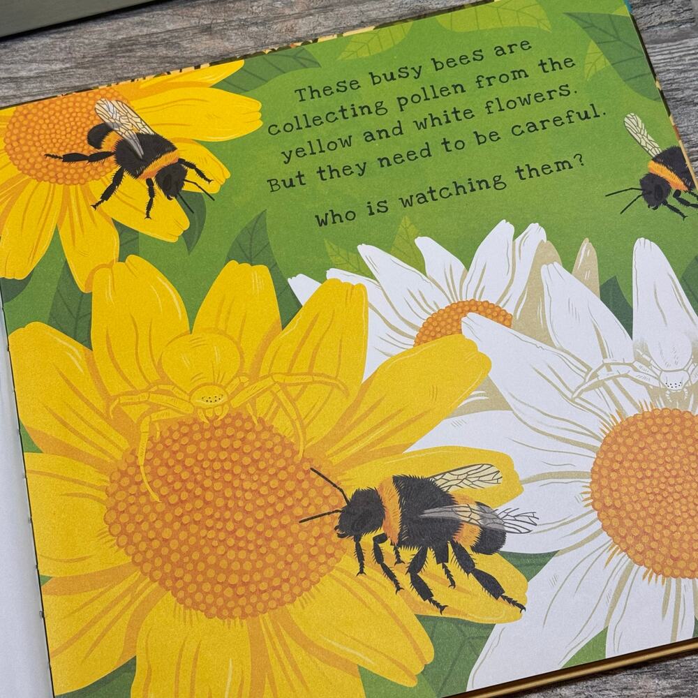 Usborne Shine a Light Book Bundle - Picture 3 of 5